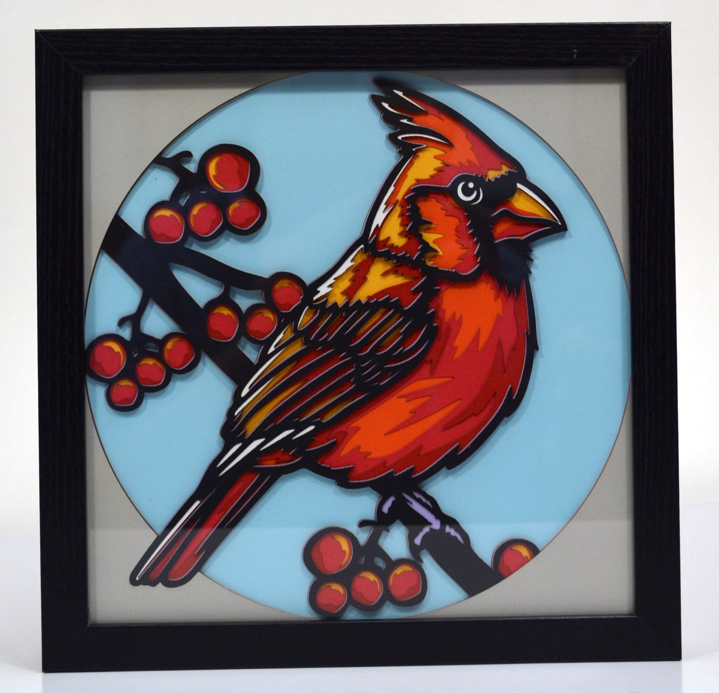 3D Cardinal Shadow Box Frame 9" x 9"