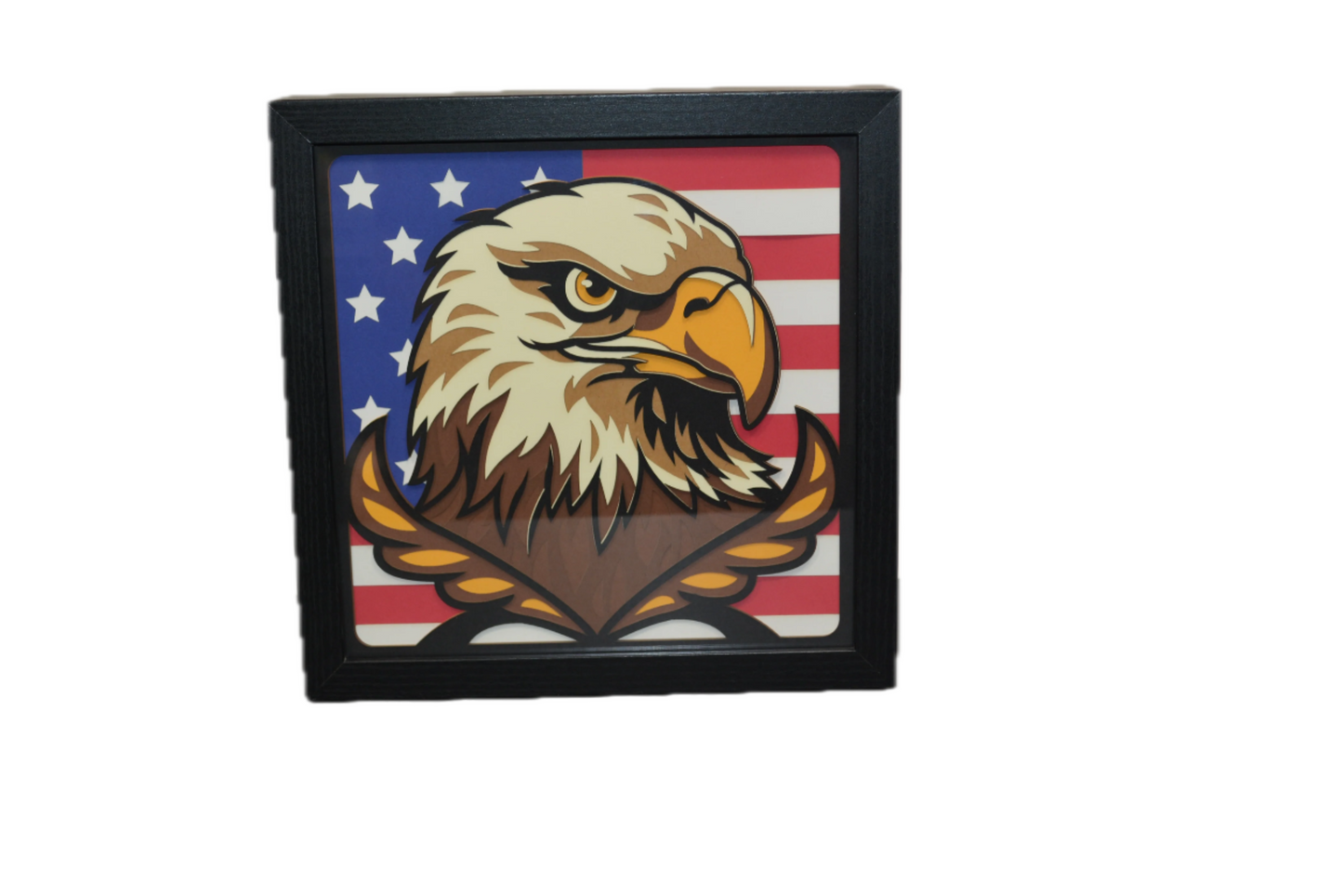 3D Eagle Head and Flag Shadow Box Frame 9" x 9"