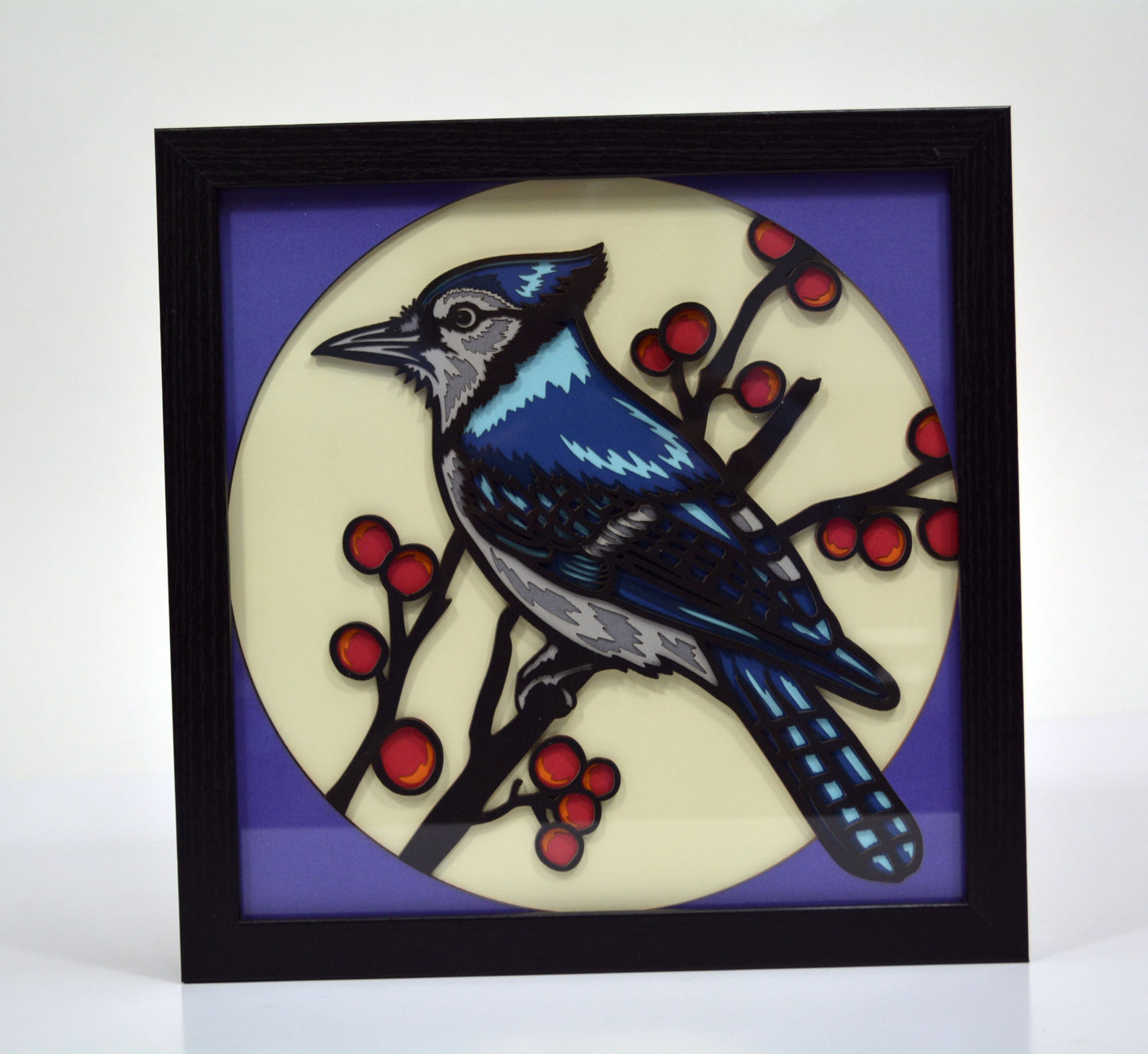 3D Paperstock Blue Jay Shadow Box Frame 9" x 9"
