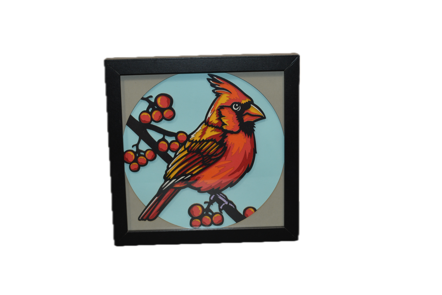 3D Cardinal Shadow Box Frame 6" x 6"