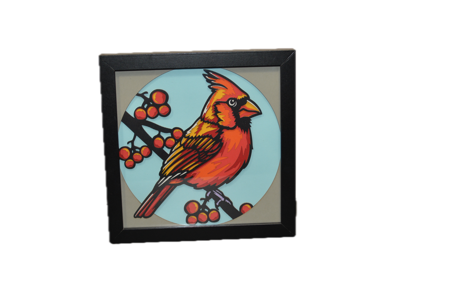 3D Cardinal Shadow Box Frame 6" x 6"