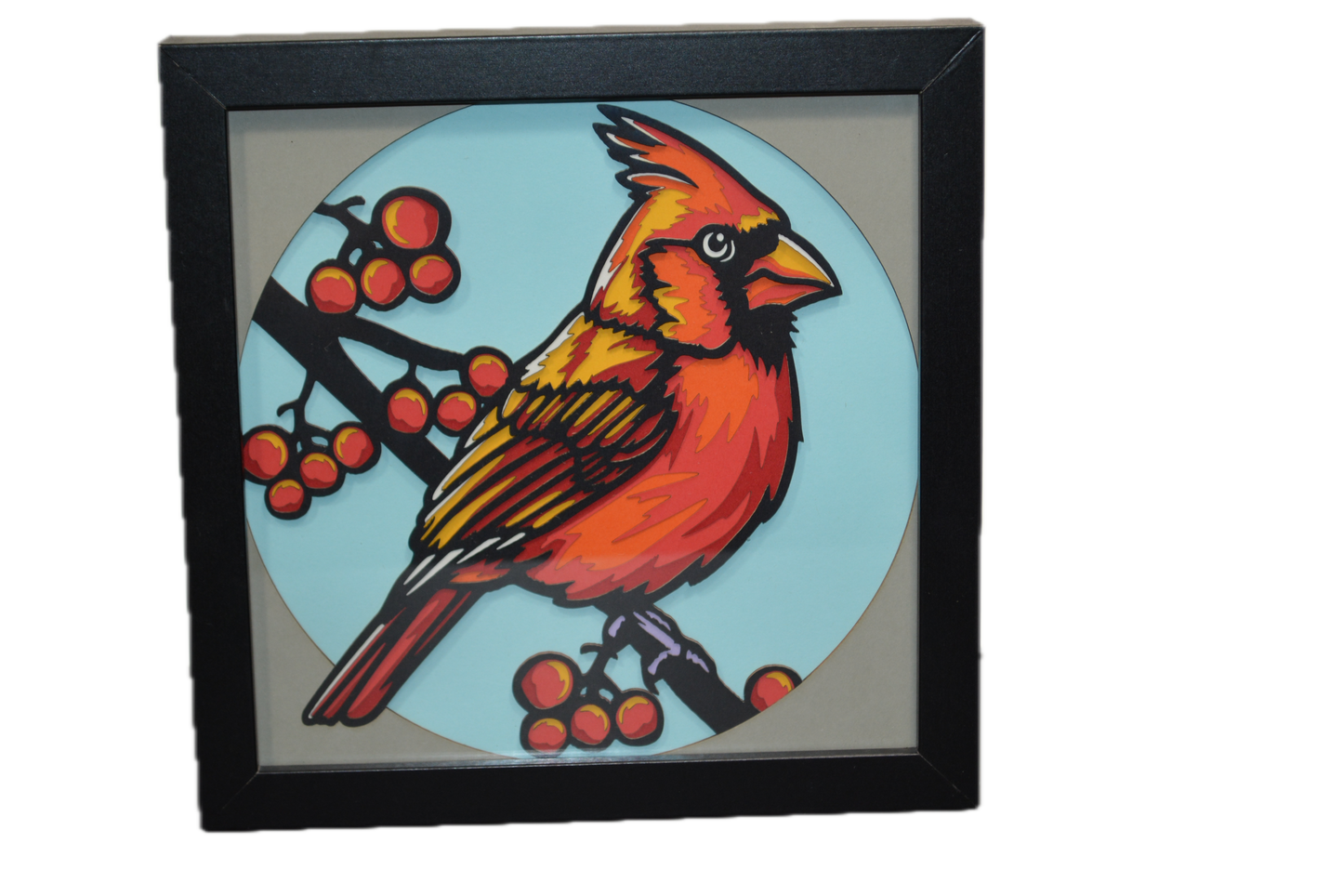 3D Cardinal Shadow Box Frame 6" x 6"