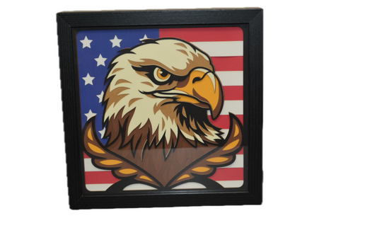 3D Eagle Head and Flag Shadow Box Frame 9" x 9"